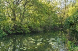 Images for Gravel Lane, Charlton Marshall