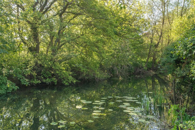 Images for Gravel Lane, Charlton Marshall