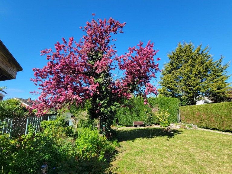 Images for Laurel Drive, Countesthorpe, Leicestershire