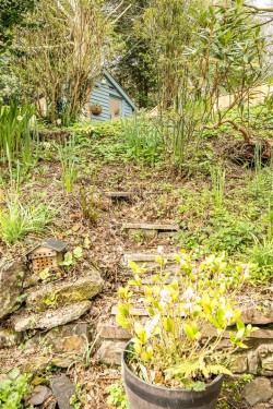 Images for Muddiford, Barnstaple