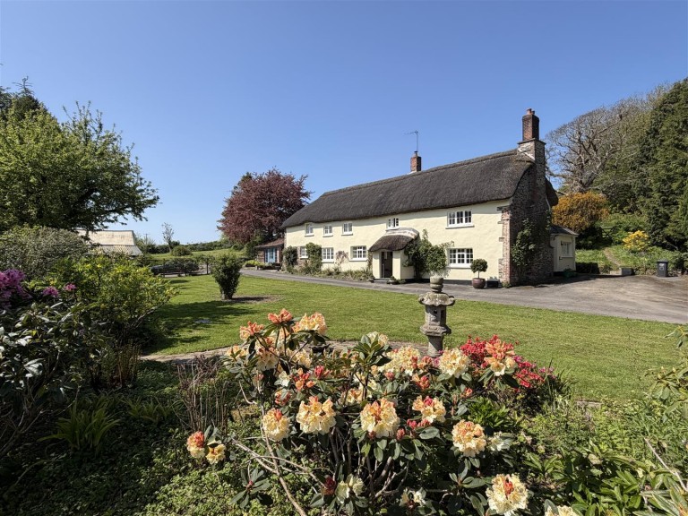 Images for Filleigh