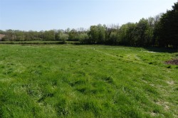 Images for Filleigh