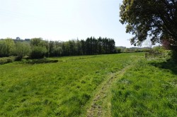 Images for Filleigh