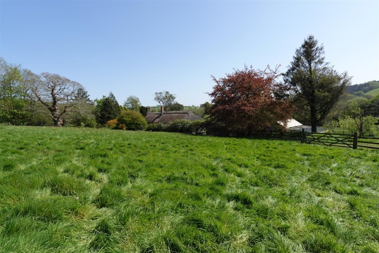Images for Filleigh