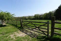 Images for Filleigh