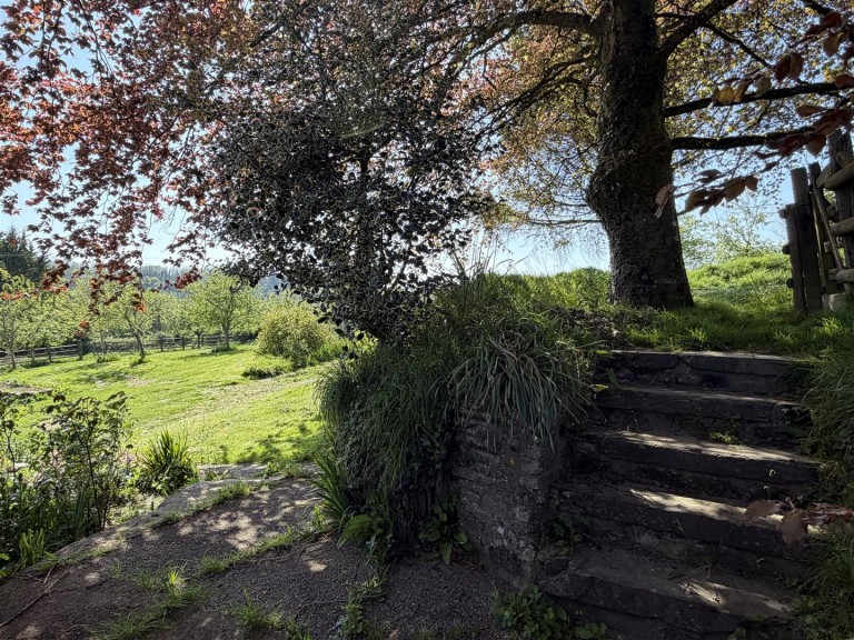 Images for Filleigh