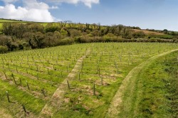 Images for St Newlyn East, Newquay