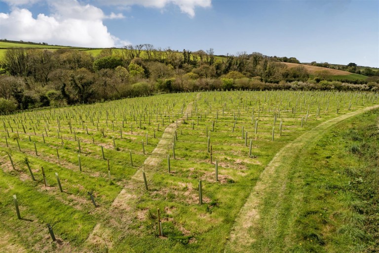 Images for St Newlyn East, Newquay