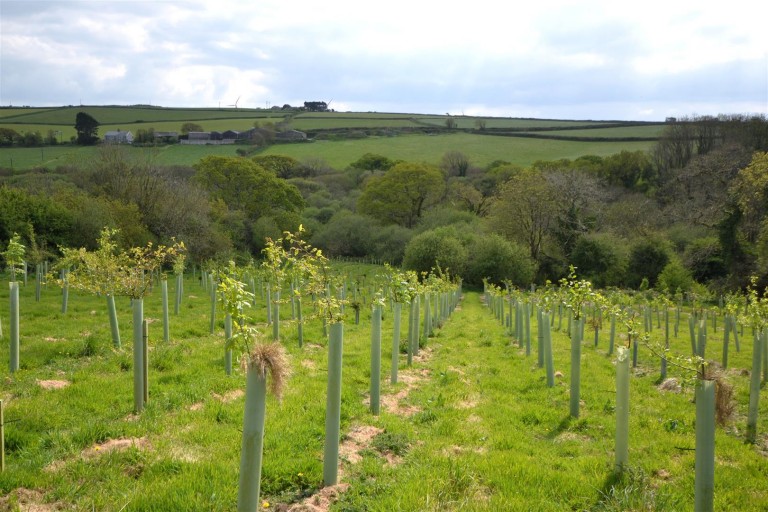 Images for St Newlyn East, Newquay