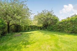 Images for Nursery Gardens, Bridport