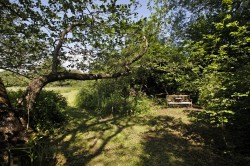 Images for Maddacombe Road, Kingskerswell, Newton Abbot