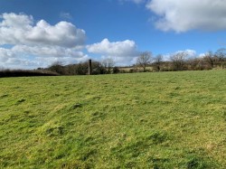 Images for Sourton Down
