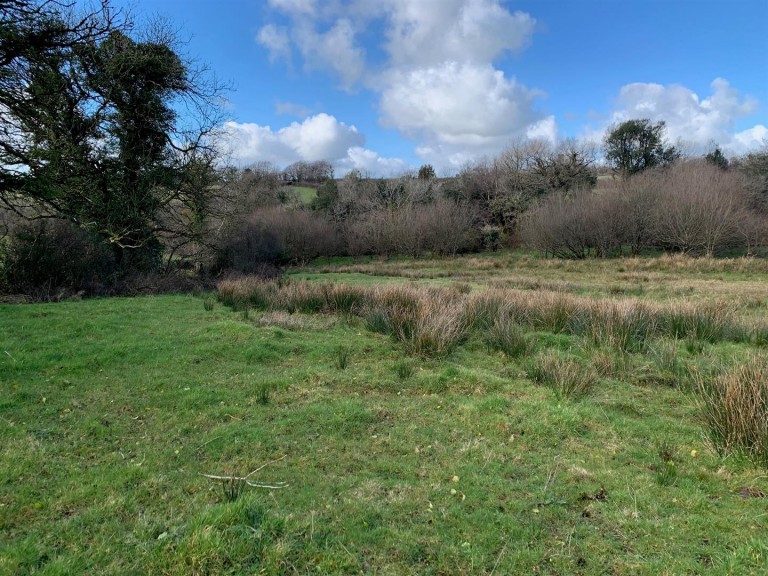 Images for Sourton Down