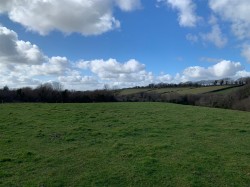Images for Sourton Down
