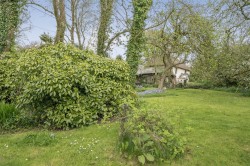 Images for Broadwoodwidger, Thornmoor