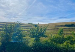 Images for New Road, Uploders, Bridport