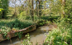 Images for Blackwater, Isle of Wight