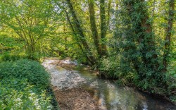 Images for Blackwater, Isle of Wight