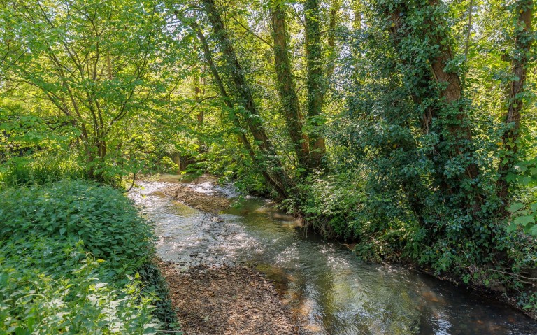 Images for Blackwater, Isle of Wight