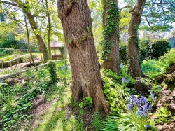Images for Blackwater, Isle of Wight