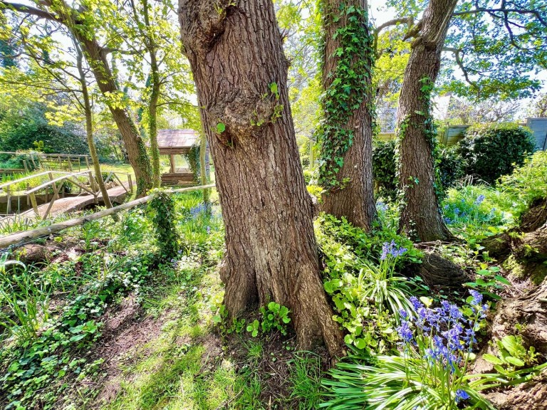 Images for Blackwater, Isle of Wight