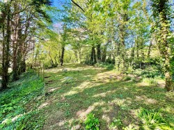 Images for Blackwater, Isle of Wight