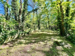 Images for Blackwater, Isle of Wight