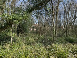 Images for Heywood Road, Bideford