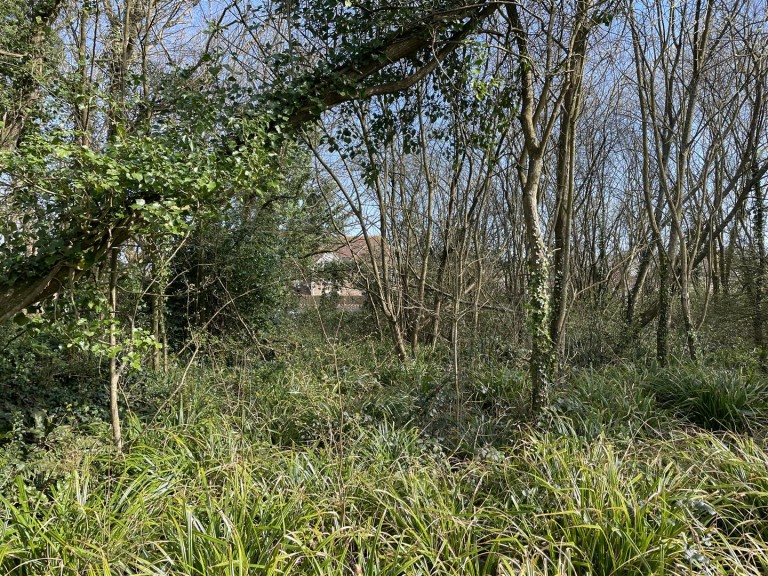 Images for Heywood Road, Bideford