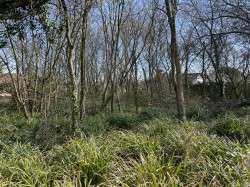 Images for Heywood Road, Bideford