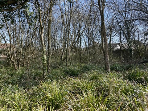 Click the photo for more details of Heywood Road, Bideford