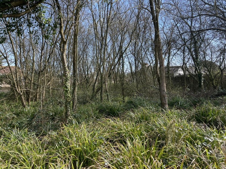 Images for Heywood Road, Bideford