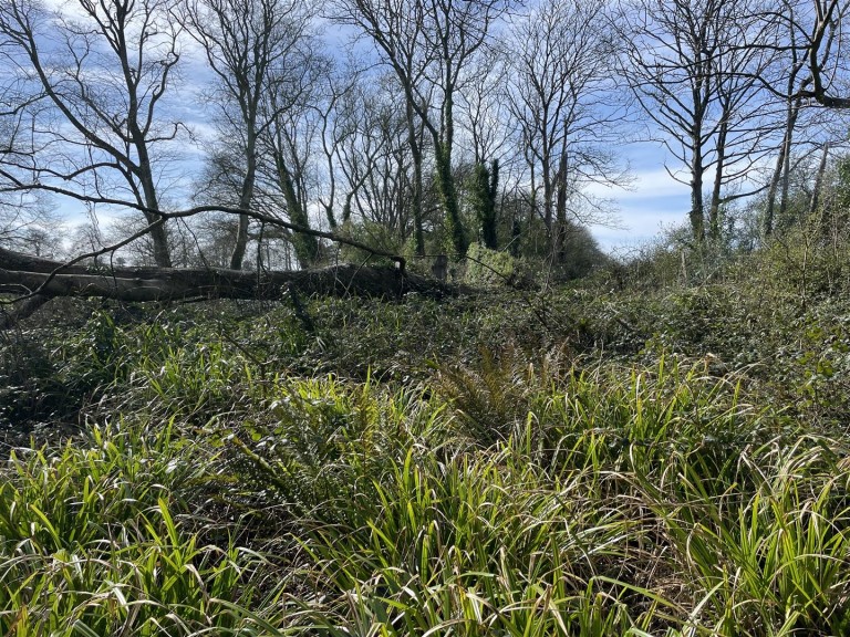 Images for Heywood Road, Bideford