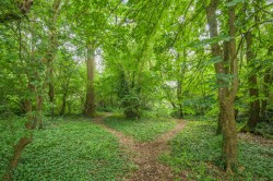 Images for High Street, Yetminster, Sherborne