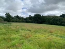 Images for Bridestowe, Okehampton