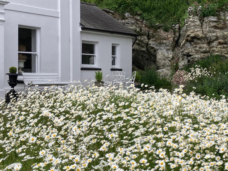 Images for Niton Undercliff, Isle of Wight
