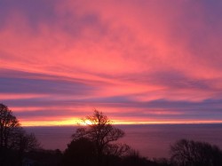 Images for Niton Undercliff, Isle of Wight