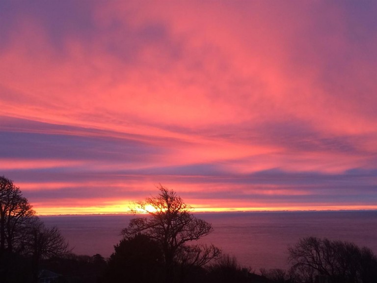 Images for Niton Undercliff, Isle of Wight