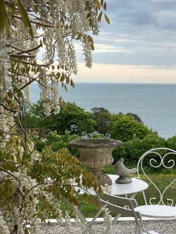 Images for Niton Undercliff, Isle of Wight