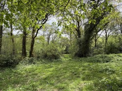 Images for Taw Valley, near Chulmleigh