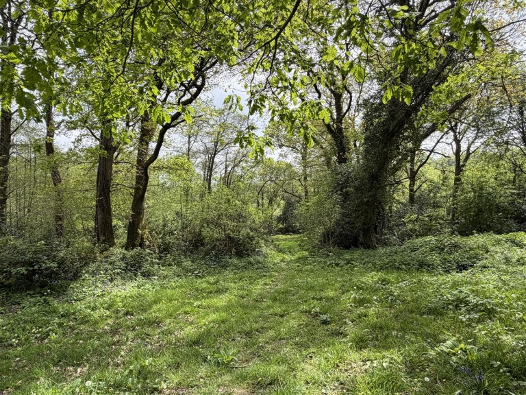 Images for Taw Valley, near Chulmleigh