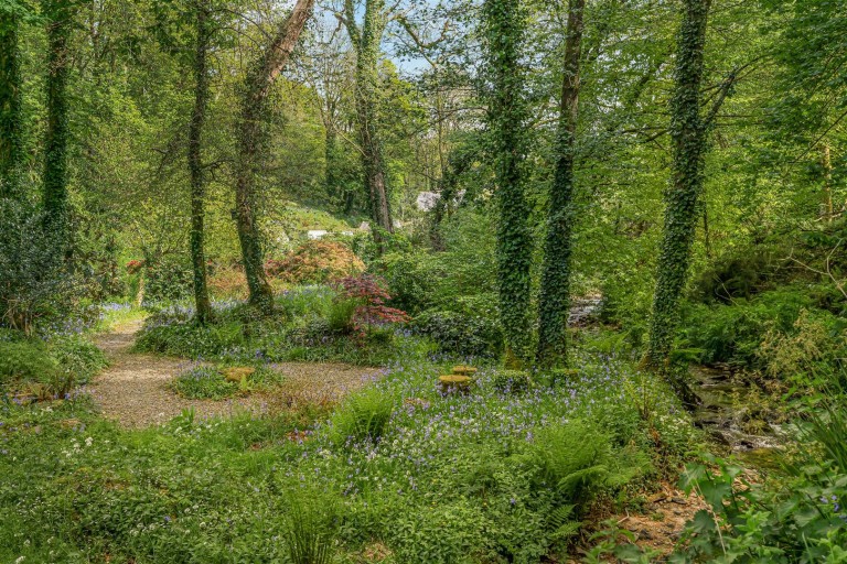 Images for Blisland