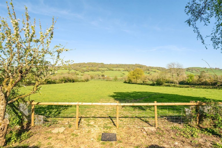 Images for Ham, Axminster