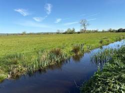 Images for Henley, Langport