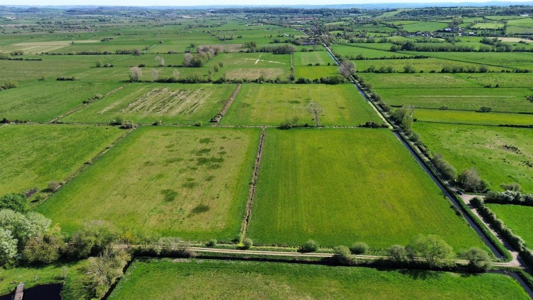 Images for Henley, Langport