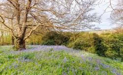 Images for Blackwater, Isle of Wight