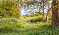 Images for Blackwater, Isle of Wight