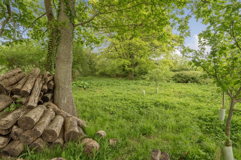 Images for Sector Lane, Axminster