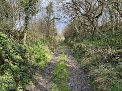 Images for Bickleton, Barnstaple