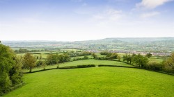 Images for Beech Walk, Gittisham, Honiton